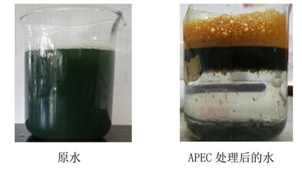 闪闪环保 | 高效脉冲电化学污水处理系统,为染厂解决燃眉之急!